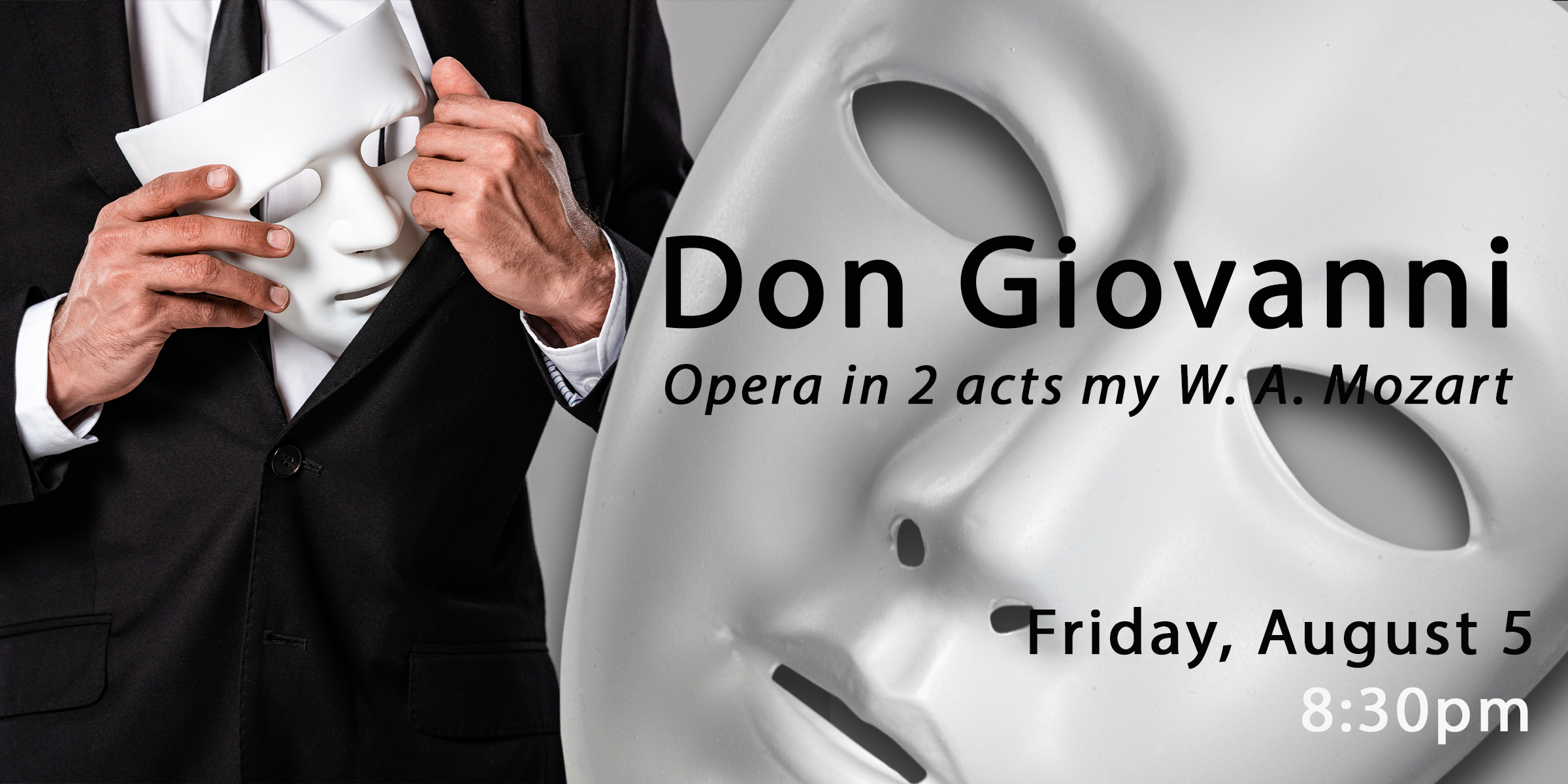 Don Giovanni Opera banner